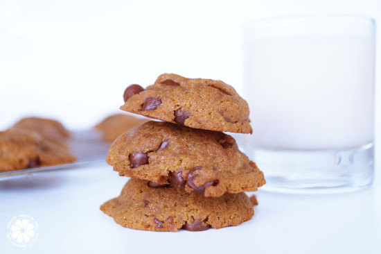 Gluten-Free Vegan Chocolate Chip Cookie Recipe