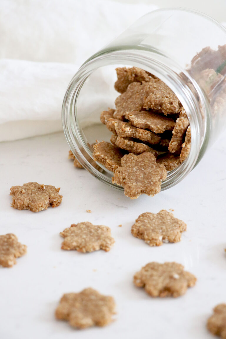 Easy Homemade Dog Treats