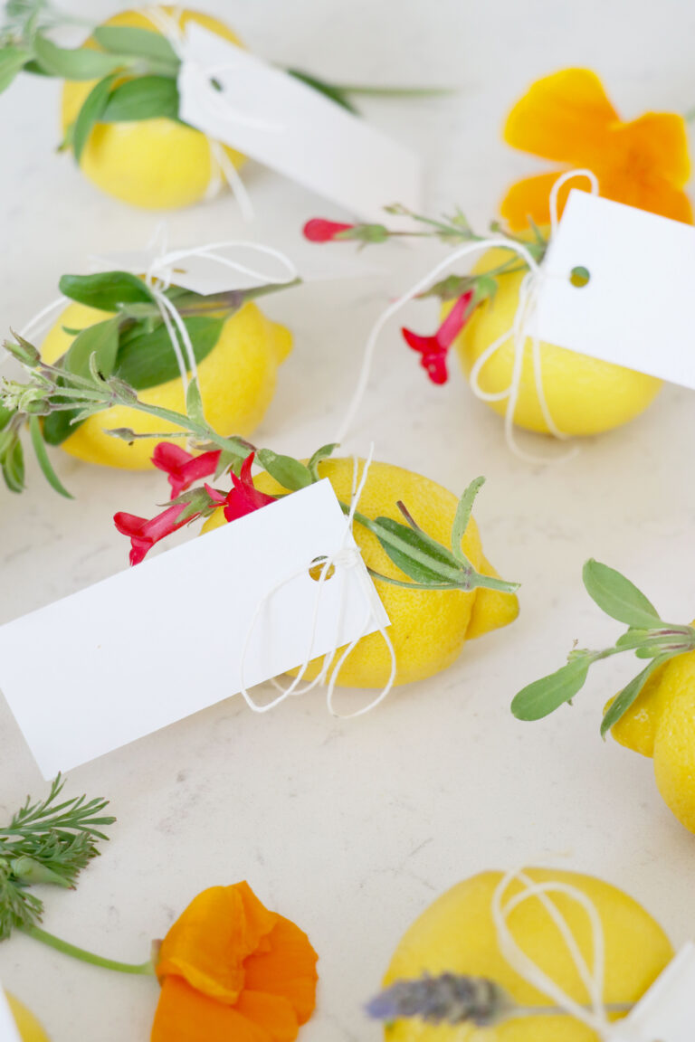 Lemon Place Cards