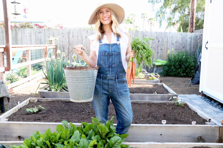 TIPS TO START + GROW A KITCHEN GARDEN | VIDEO